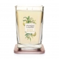 Preview: Yankee Candle Citrus Grove 2-Docht 552 g Preview: Yankee Candle Citrus Grove 2-Docht 552 g